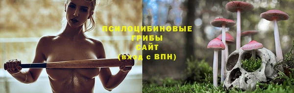 таблы Новозыбков