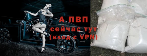 таблы Новозыбков