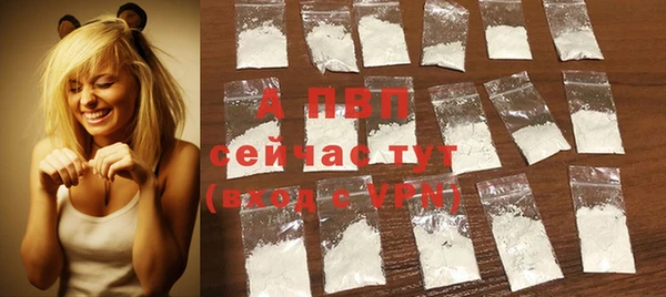 таблы Новозыбков