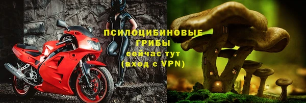 таблы Новозыбков