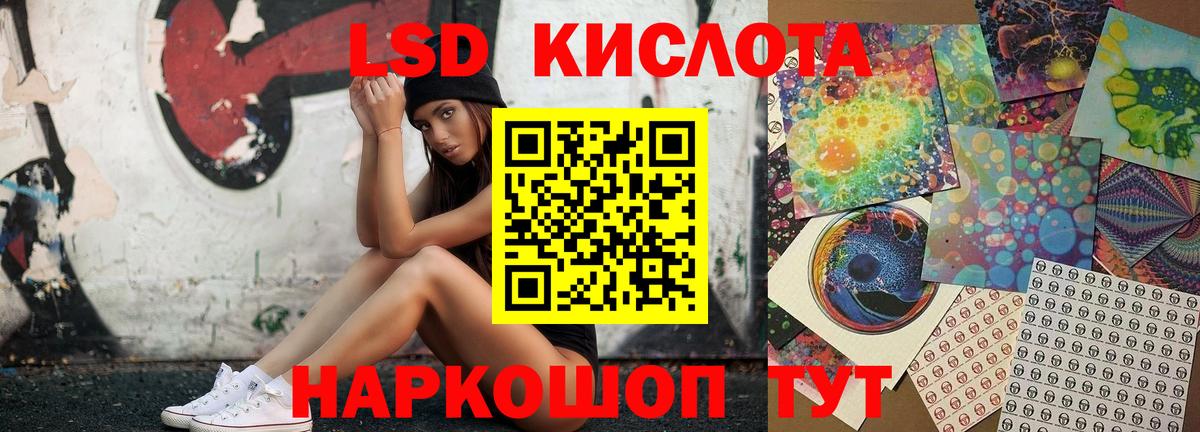 Новозыбков  ЛСД экстази  Вход с VPN  ЛСД экстази кислота 
