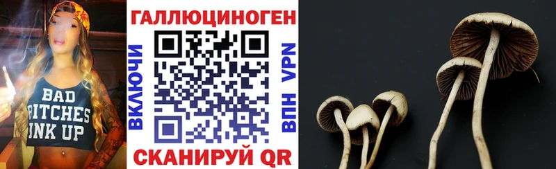 где купить наркотик  ссылка на мегу зеркало  Галлюциногенные грибы Magic Shrooms  Новозыбков 