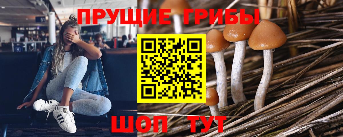 Галлюциногенные грибы MAGIC MUSHROOMS  Вход с VPN  Галлюциногенные грибы мухоморы  Новозыбков 