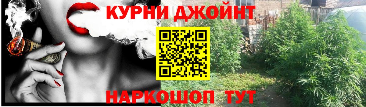 Новозыбков  МАРИХУАНА марихуана  Каннабис план  Вход с VPN 